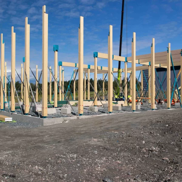 Bulk Wood