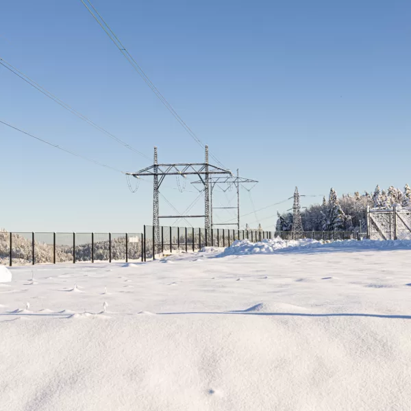 Fiber Networks: Enabling the Nordics