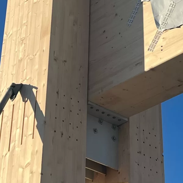 Asset: Bulk Wood
