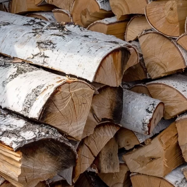 Ecosystem: Circular industry clusters and heat-reuse